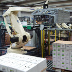 Robot PAL do 260 do paletyzacji kartonów (fot. Comau)