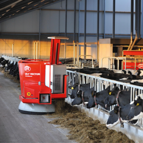 Roboty stacjonarne i mobilne w hodowli. Nowe możliwości w automatyzacji hodowli krów