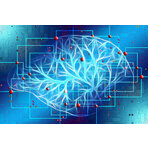 Polskie firmy w czołówce szybko rosnących przedsiębiorstw. Fot. pixabay