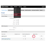 08_teltonika_rut240_rut_240_informator_techniczny_manual_astor_konfiguracja_routera_maskarada_sieci_LAN1_1_8