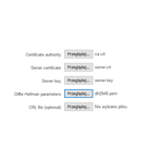 11_teltonika_rut240_rut_240_informator_techniczny_manual_astor_konfiguracja_routera_generowanie_kluczy_TLS_1_11