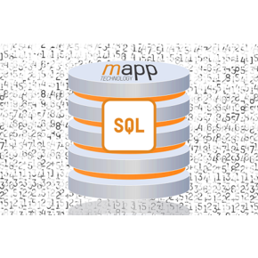 mapp Database pozwala wygodnie zarządzać danymi użytkownika i danymi generowanymi przez bloki mapp w bazie SQL.