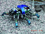 Crawler - sześcionożny robot kroczący [fot. J. Górska-Szkaradek]