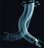 Biomechatroniczny manipulator Bionic Handling Assistant firmy Festo