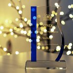 „Nagroda Indium za Wybitne Osiągnięcia” dla Grupy RENEX